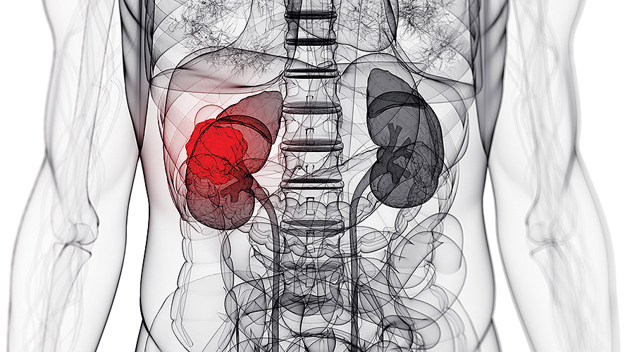 Kidney Academy image