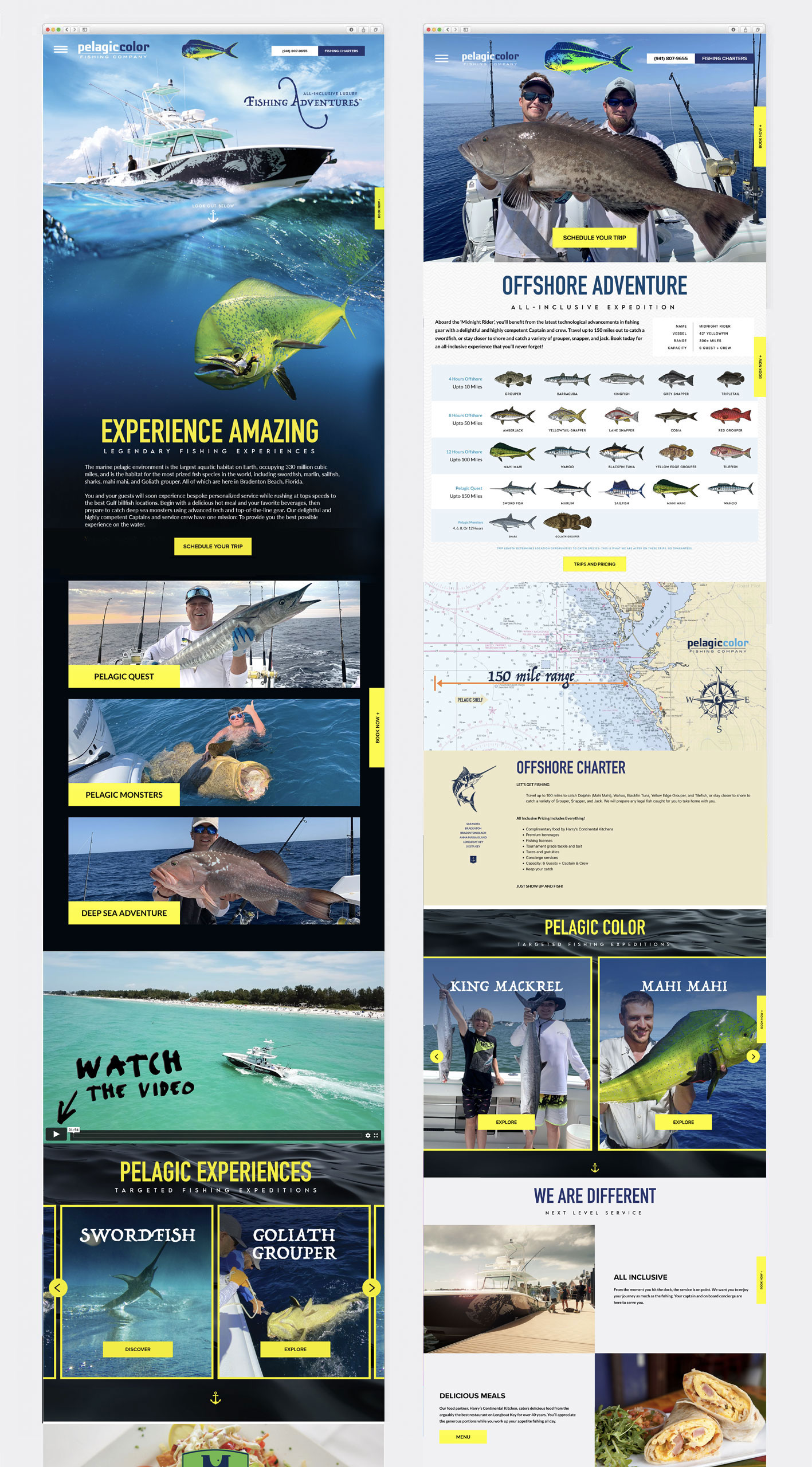 Pelagic Color Fishing Company - Beyondigital